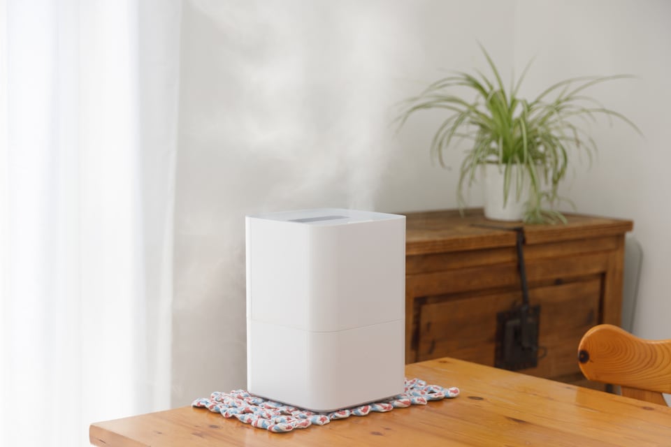 ダイニングテーブルに置かれスチームを出す加湿器