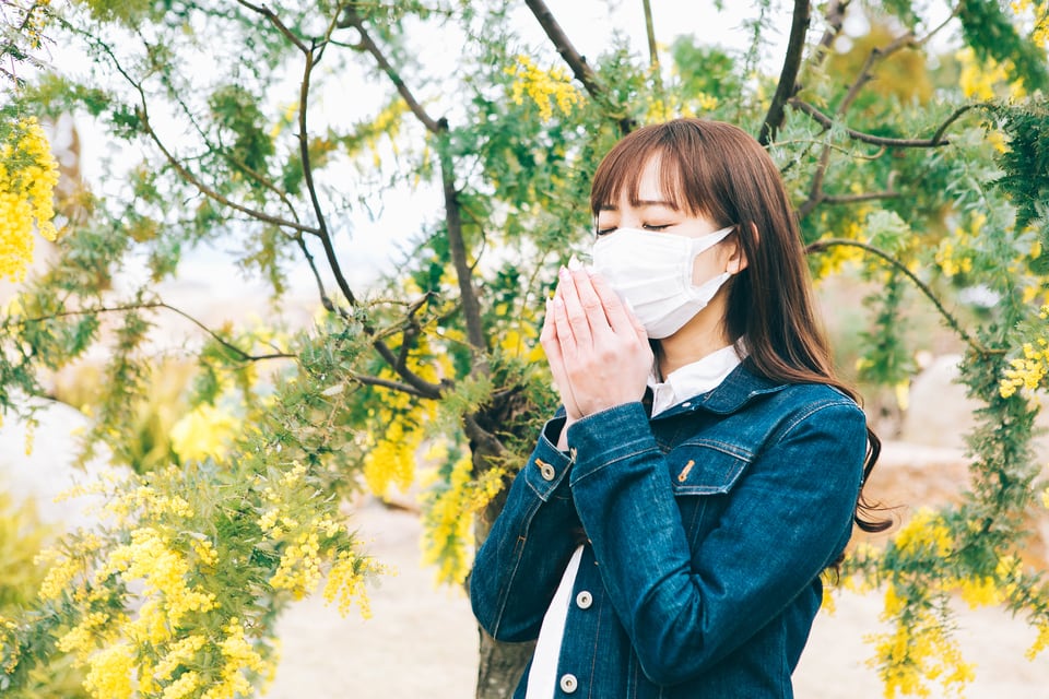吸入性アレルゲンによる鼻の症状に悩まされる女性