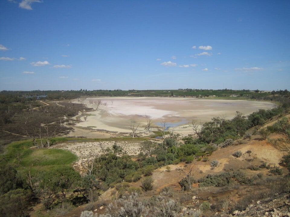 オーストラリアのマーレー川の後背湿地